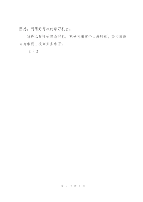 个人网络研修计划.docx