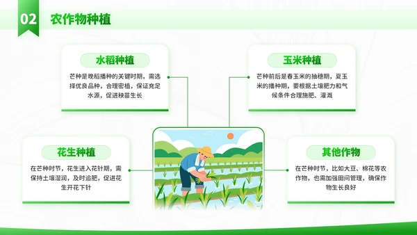 绿色插画风走进芒种节气知识与教学应用PPT模板