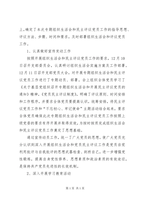 不忘初心牢记使命主题教育专题组织生活会和民主评议党员工作总结.docx