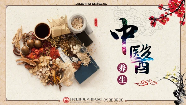 中医学养生保健医院中医文化中草药PPT