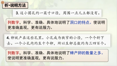 21《蝉》课件