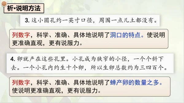 21《蝉》课件