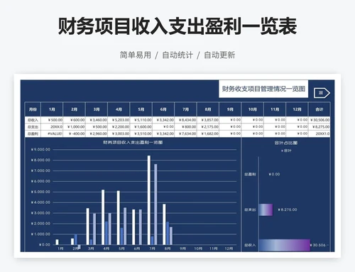 财务项目收入支出盈利一览表