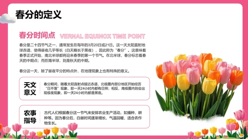 粉色插画风春分节气文化科普 PPT模板