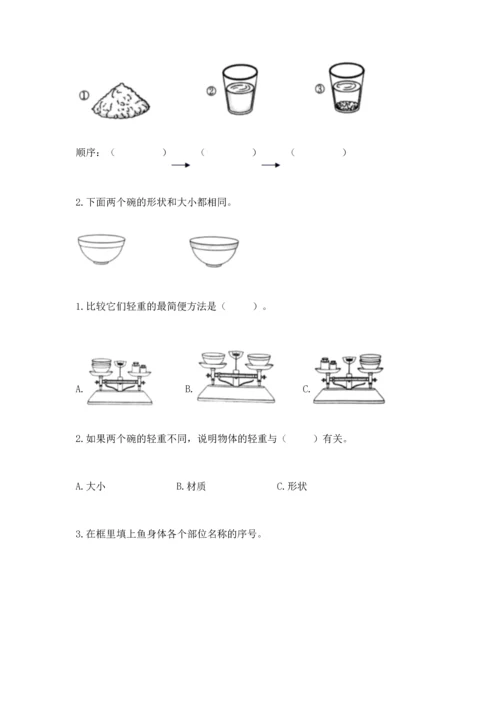 教科版一年级下册科学期末测试卷有答案解析.docx