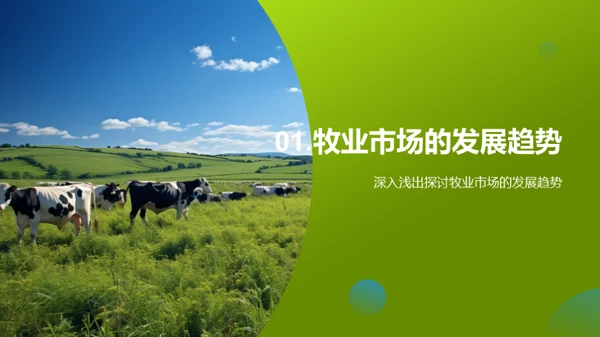 牧业卓越之路