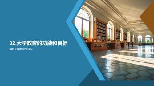 大学教育解析