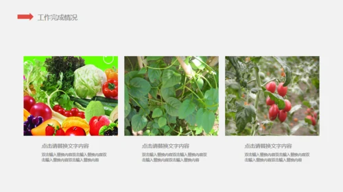 有机水果蔬菜产品宣传介绍通用PPT模板