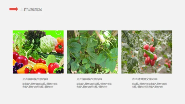 有机水果蔬菜产品宣传介绍通用PPT模板