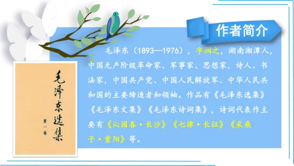 七上语文期中期末复习专题8.2文学文化文体常识每课晨读 课件(共74张PPT)