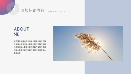 个人求职简历通用PPT模板