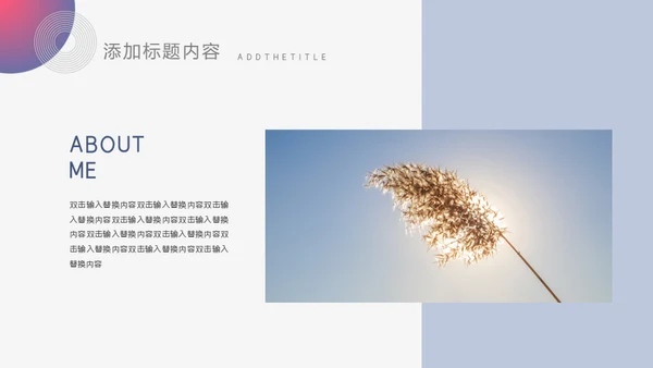 个人求职简历通用PPT模板