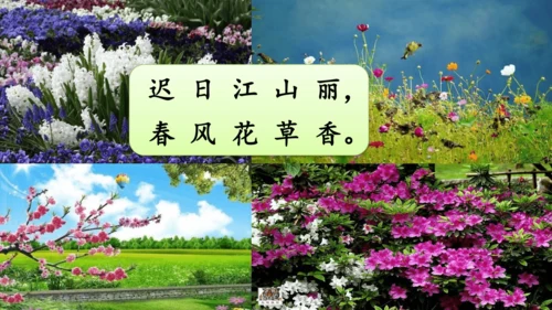 统编版语文三年级下册第一单元 《口语交际：春游去哪儿玩》课件