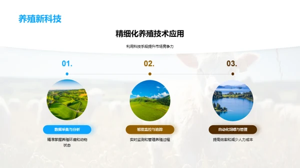 精细养殖：挑战与机遇
