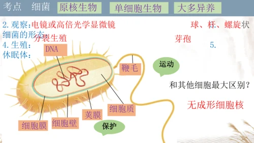 人教版七上2024第二单元复习课件(共20张PPT)