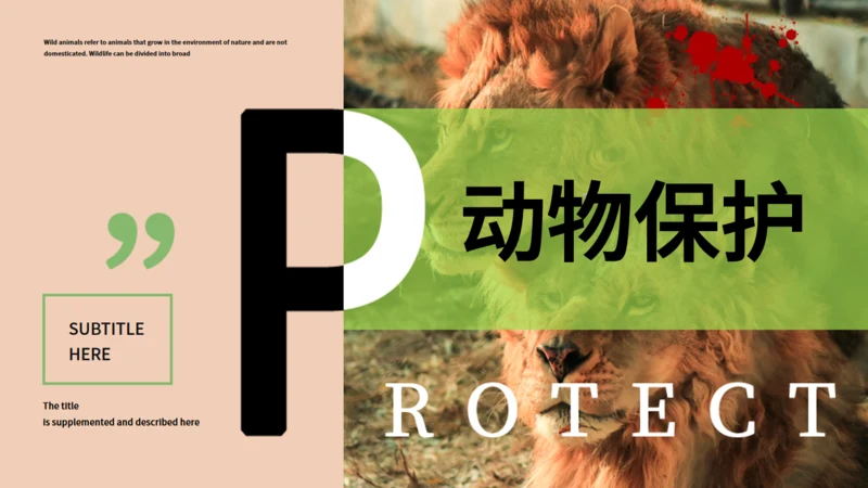 保护野生动物生态通用PPT模板