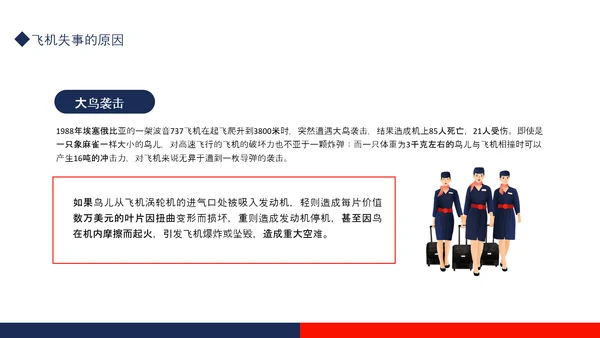 航空事故分析，空难自救的原则PPT模板