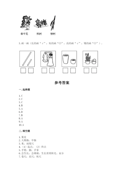 教科版一年级上册科学期末测试卷【网校专用】.docx