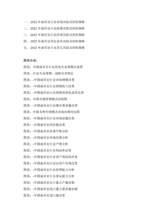页岩行业市场分析及投资机遇研究报告样本.docx