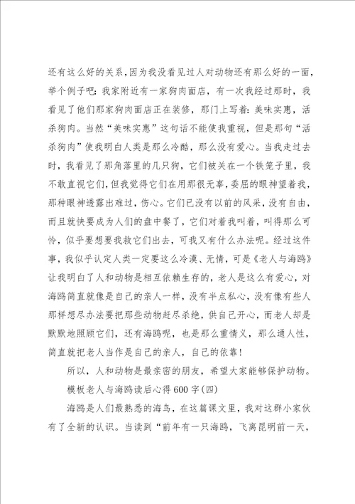 老人与海鸥读后心得600字