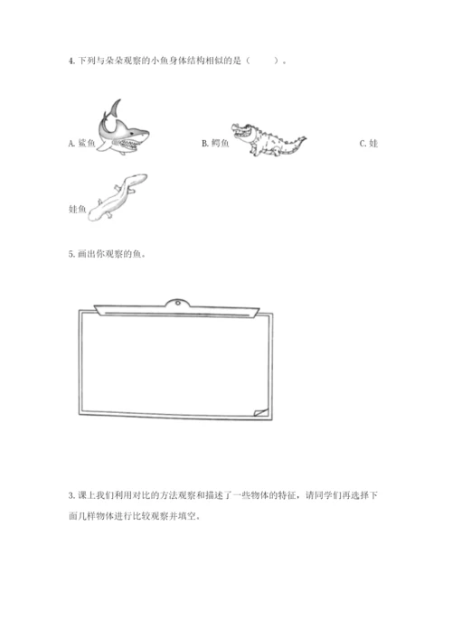 教科版一年级下册科学期末测试卷带答案（实用）.docx