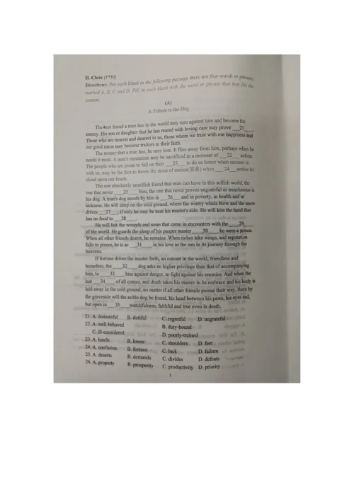 2023年上海市上外杯高中英语竞赛初赛试卷.docx