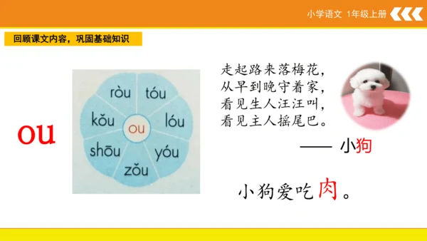 统编版语文一年级上册 汉语拼音 10 ao ou iu  课件