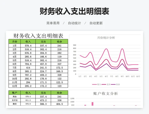 财务收入支出明细表