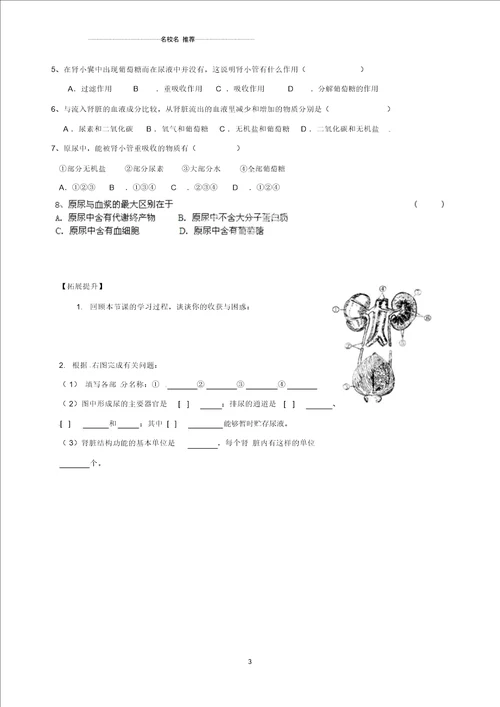 广西桂林市初中七年级生物下册第4单元第5章人体内废物的排出名师精编导学案无答案新版新人教