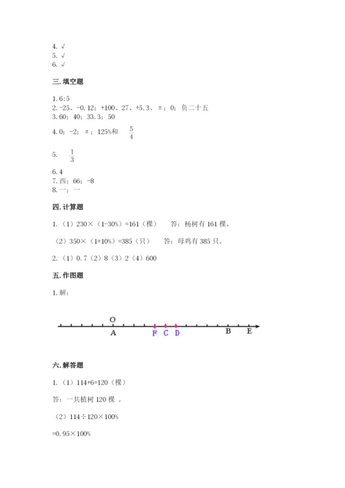 宜良县六年级下册数学期末测试卷（研优卷）.docx
