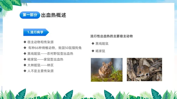 蓝色简约医疗肾综合出血热治疗预防讲座PPT护理