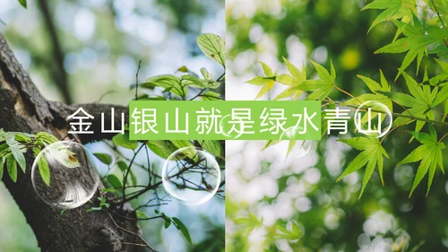 绿色生态森林湿地环境保护植树造林PPT模板