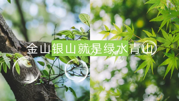 绿色生态森林湿地环境保护植树造林PPT模板