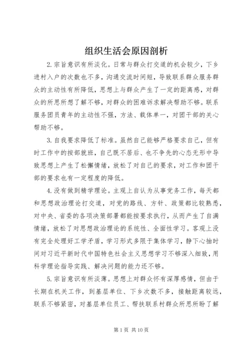 组织生活会原因剖析.docx