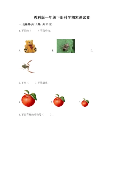 教科版一年级下册科学期末测试卷附答案（考试直接用）.docx