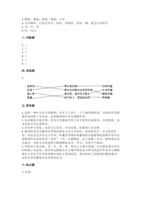 科学四年级下册第一单元植物的生长变化测试卷附完整答案【考点梳理】.docx