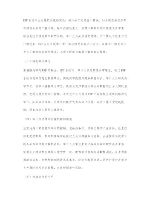 ERP系统下审计风险及其防控策略.docx