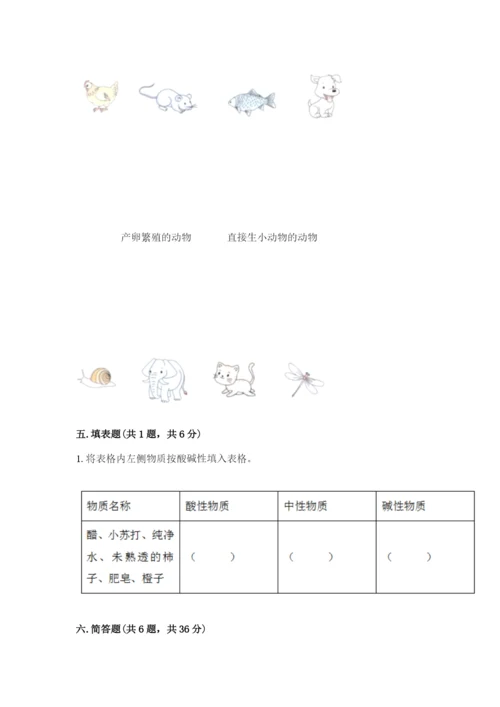 教科版小学科学三年级下册期末测试卷【考点梳理】.docx