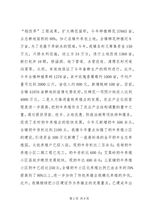 政府20XX年工作总结及20XX年工作计划年终工作总结.docx