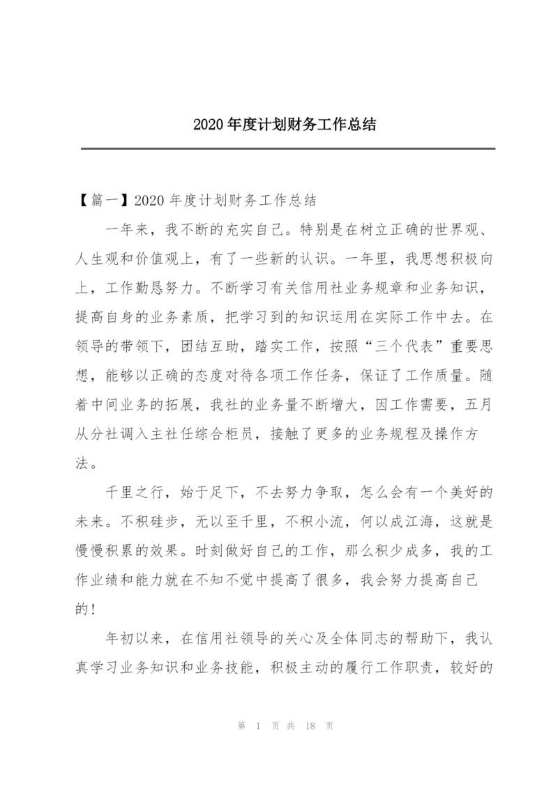 2020年度计划财务工作总结.docx