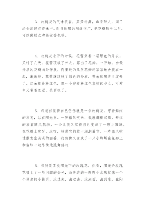 描写玫瑰花的唯美经典句子.docx