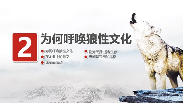 狼性文化企业培训PPT模板