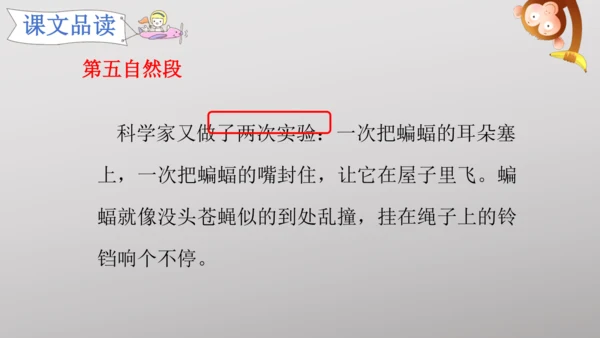 6 夜间飞行的秘密   课件