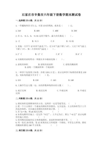 石家庄市辛集市六年级下册数学期末测试卷a4版.docx