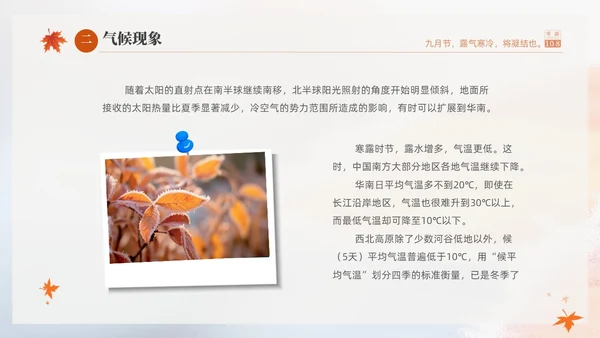 白色淡雅实拍风中国传统节气寒露节气介绍PPT