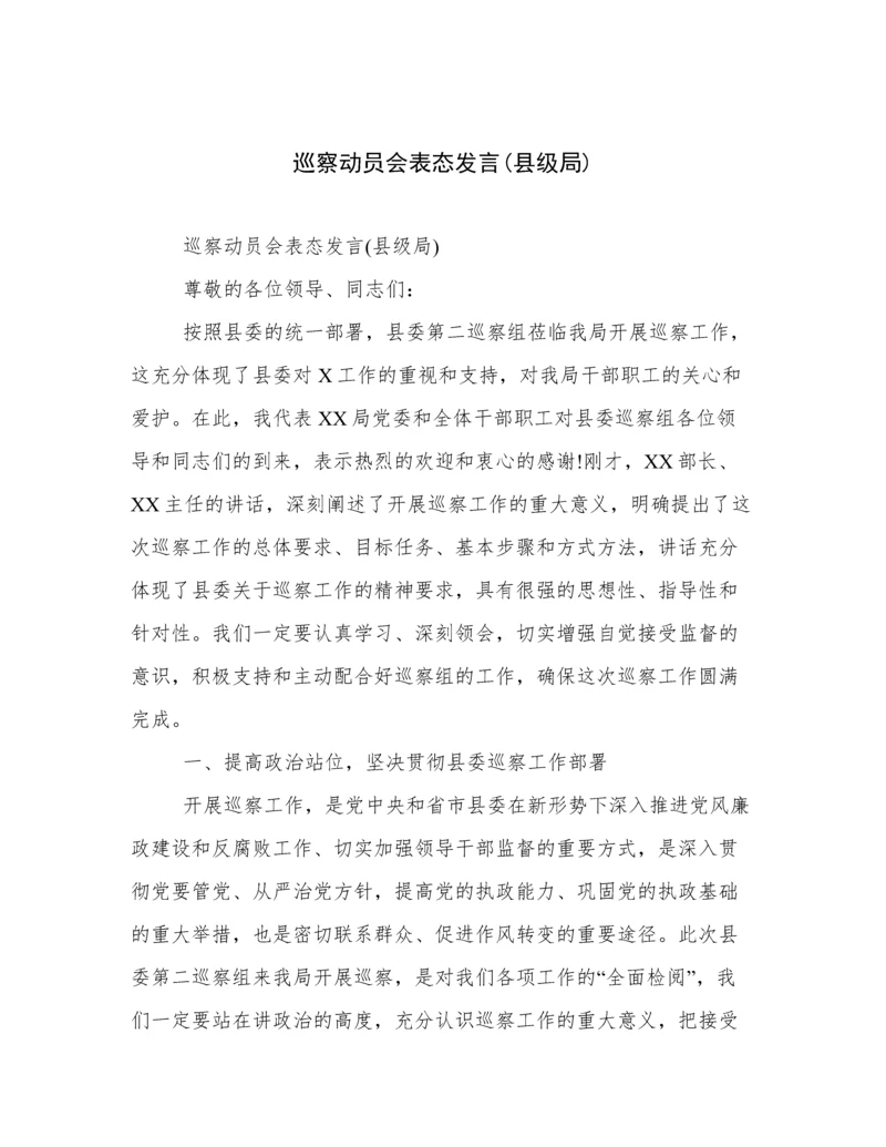 巡察动员会表态发言(县级局).docx