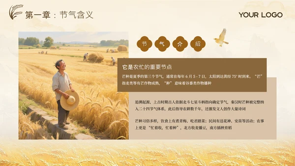黄色古风中国传统文化二十四节气芒种课堂科普PPT模板
