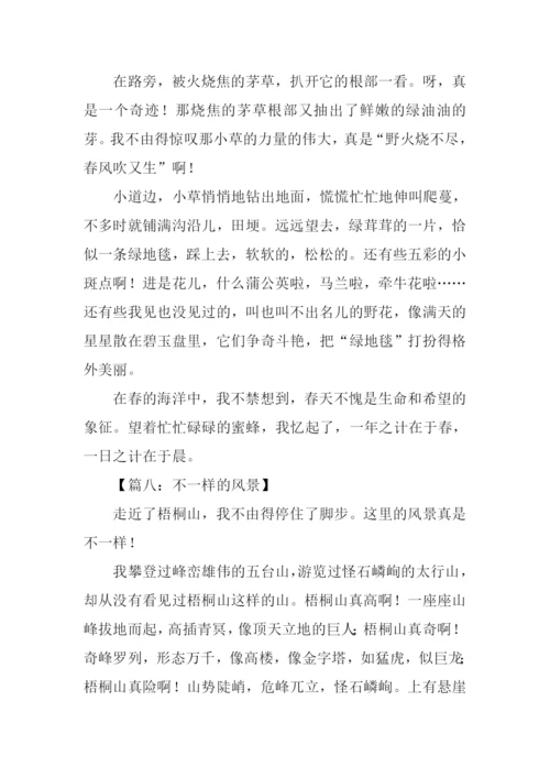不一样的风景作文.docx