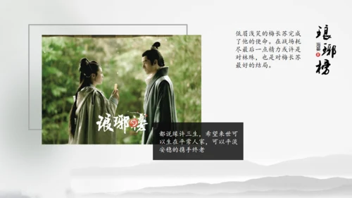 电视剧《琅琊榜》作品介绍通用PPT模板