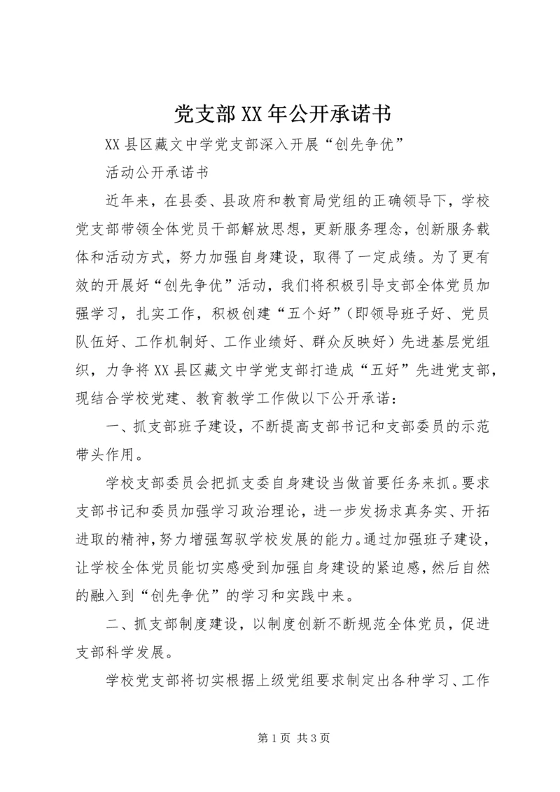 党支部某年公开承诺书.docx